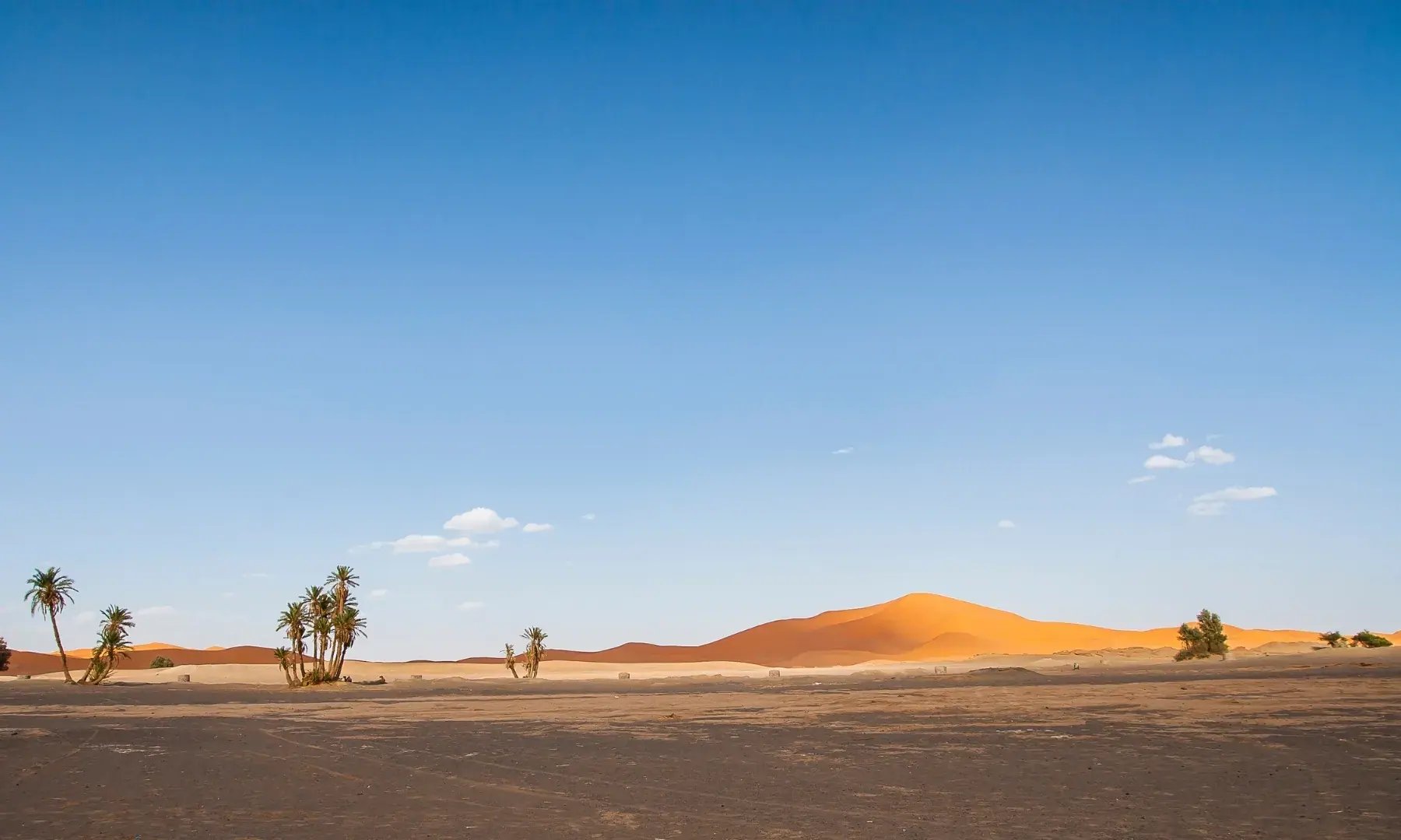 Dunas gigantes de areia dourada no deserto de Erg Chebbi em Merzouga, Marrocos